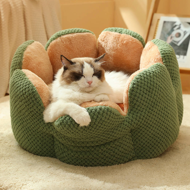 Lit pour animaux CozyCactus™